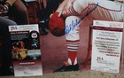 1968 St Louis Cardinals "Million Dollar" Team signed 16x20 by 8 Gibson Brock JSA — photo 5