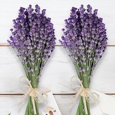 350 Stems 2 Bundles Dried Lavender Flowers, 17" Natural Purple Flowers Bouque...