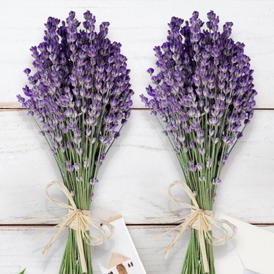 350 Stems 2 Bundles Dried Lavender Flowers, 17'' Natural Purple Flowers Bouque...