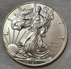 2021 $1 SILVER EAGLE = 1 OZ. .999 SILVER = U. S. MINT = UNCIRCULATED