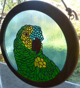 Hand Made Stained Glass PARROT  HEAD  Window Sun Catcher with Wooden Frame