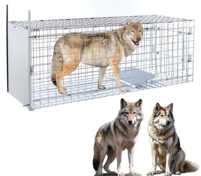 57'' Large Humane Live Animal Trap - Collapsible Cage for Dogs up to 55lb |