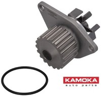 Kamoka T0089 Wasserpumpe Wapu FüR Citroen FüR Peugeot