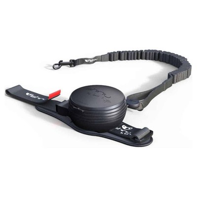 Lishinu Bungee Leash, color black