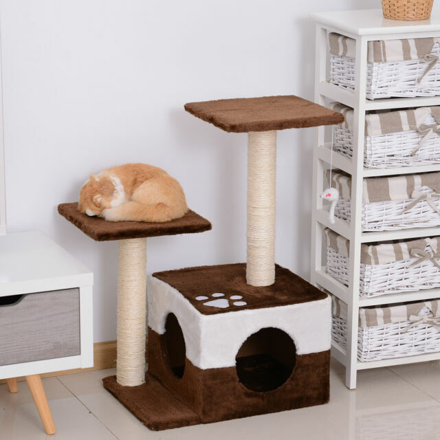 cat condo ebay