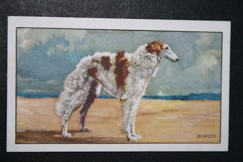 BORSOI Vintage 30er Jahre illustrierte Hundekarte KD29M - Bild 2 von 2