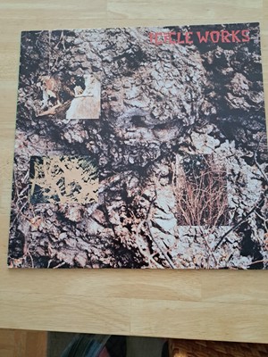 The Icicle works, Vinyl