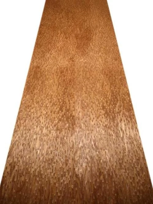 Ojos de Pájaro Chapa de Madera Gemuschelt SaRaiFo Braun 250x32cm