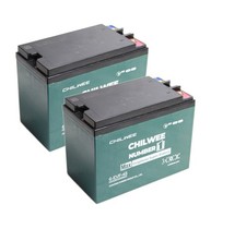 A Pair of Sealed Lead Acid Battery fit EmotorEM-25 SJ-25 EM25 SJ25 Scrubber
