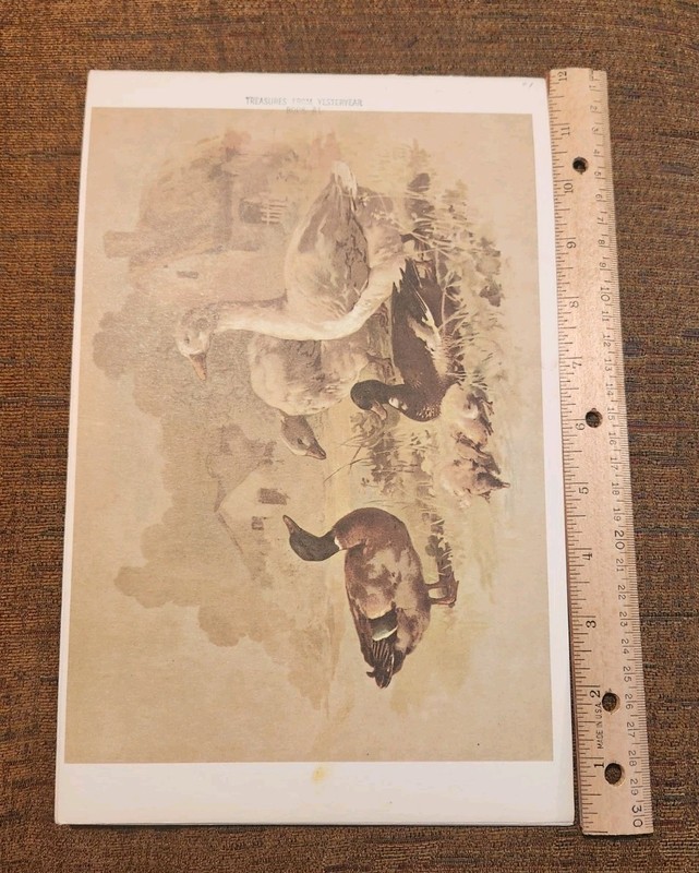 China Painting Studies Victorian Floral Birds Treasures from Yesteryear Booklet