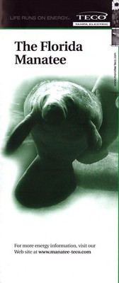 TECO Florida Manatee Brochure Tampa Electric Apollo Beach Viewing Center