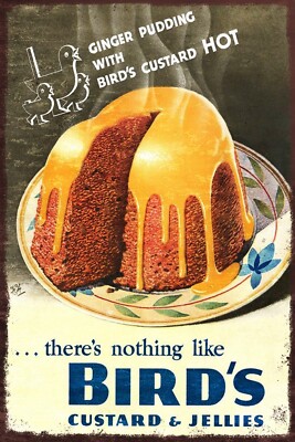 Vogelpuddingpulver, Gelee & Pudding Vintage Werbung, alter Look neu Blechschild
