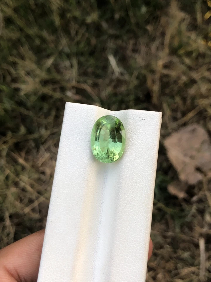 Natural Peridot Apple Green Color Oval Cut 7.85 Carats Loose Gemstone - Image 3 of 4