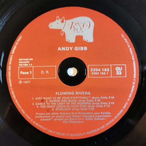Andy Gibb – Flowing Rivers - Starlight -vinyl, LP, Album, Stereo - 1977 - VG Ex - Picture 3 of 6