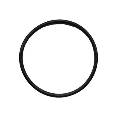 Outer O-Ring Replaces 9849963
