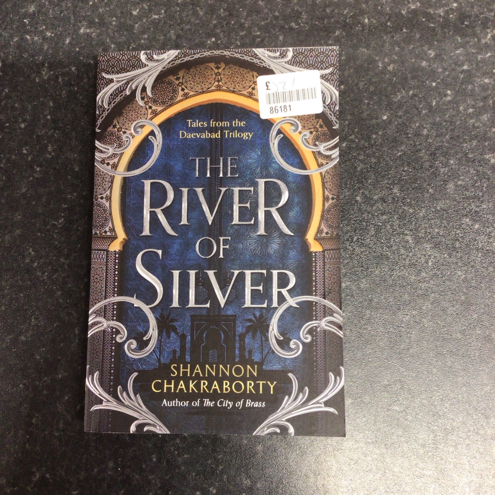The River of Silver: Return to a world of Adventure by Shannon Chakraborty