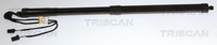 Heckklappen DäMpfer Gasfeder Kofferraum Triscan 8710 38302 FüR CitroËN C4 1 2