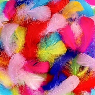 800 PCS Colorful Craft Feathers 2-3 Inch for DIY Projects & Decorations