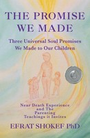 The Promise We Made Three Universal Soul Promises We Made To Our Children. Buch