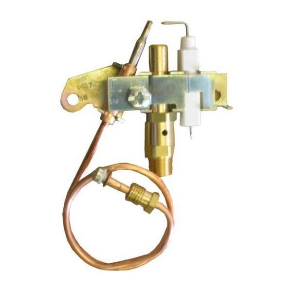 Static Caravan Widney Gas Fire Pilot Spark Generator and Oxygen Depletion  Ass... | eBay