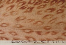 OOP Kaufman Fabric Brown Animal Print BTY