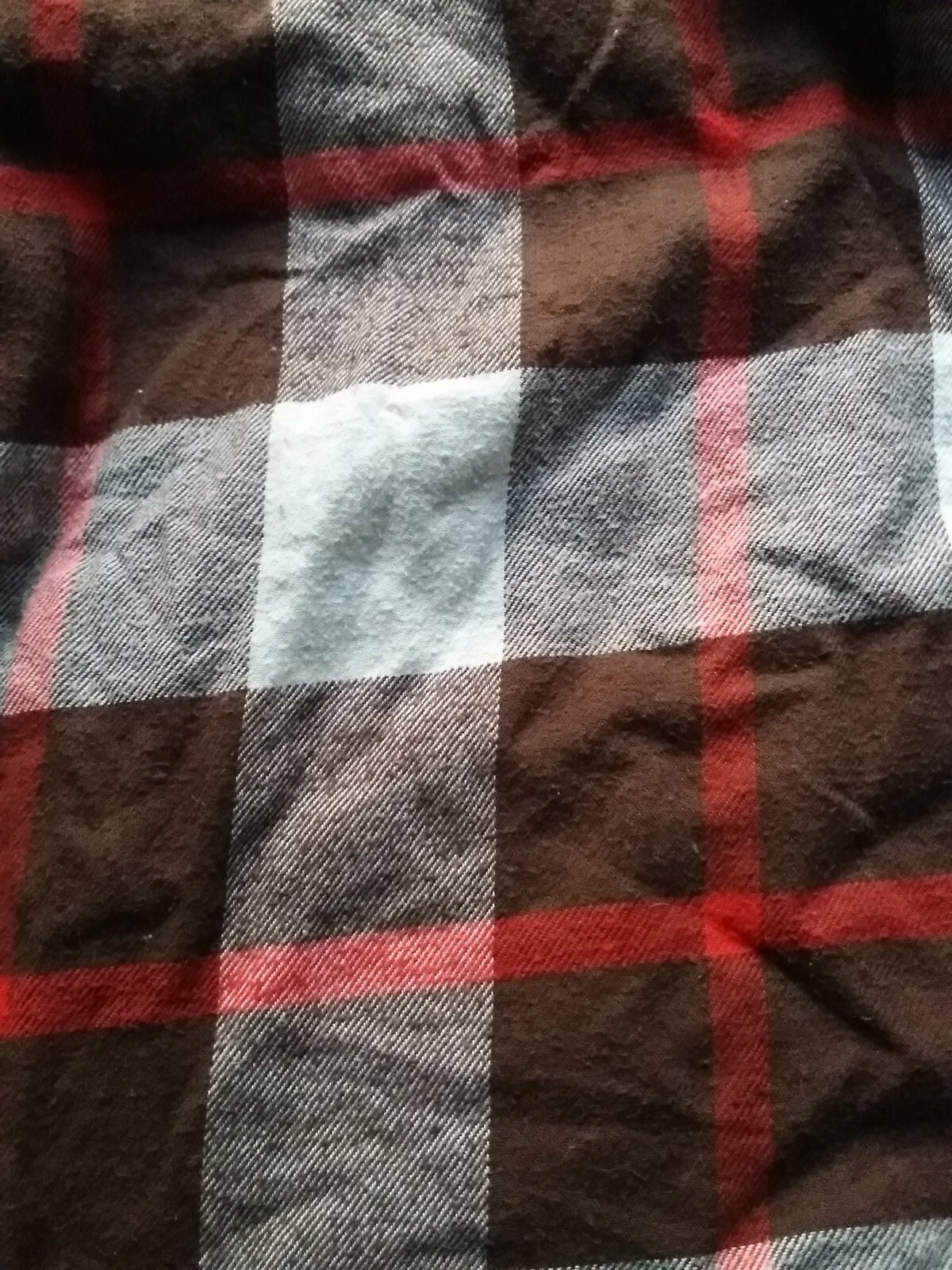 Picture 8 of 8