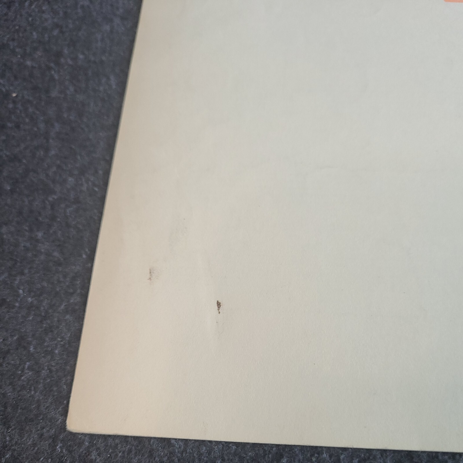 Picture 6 of 6