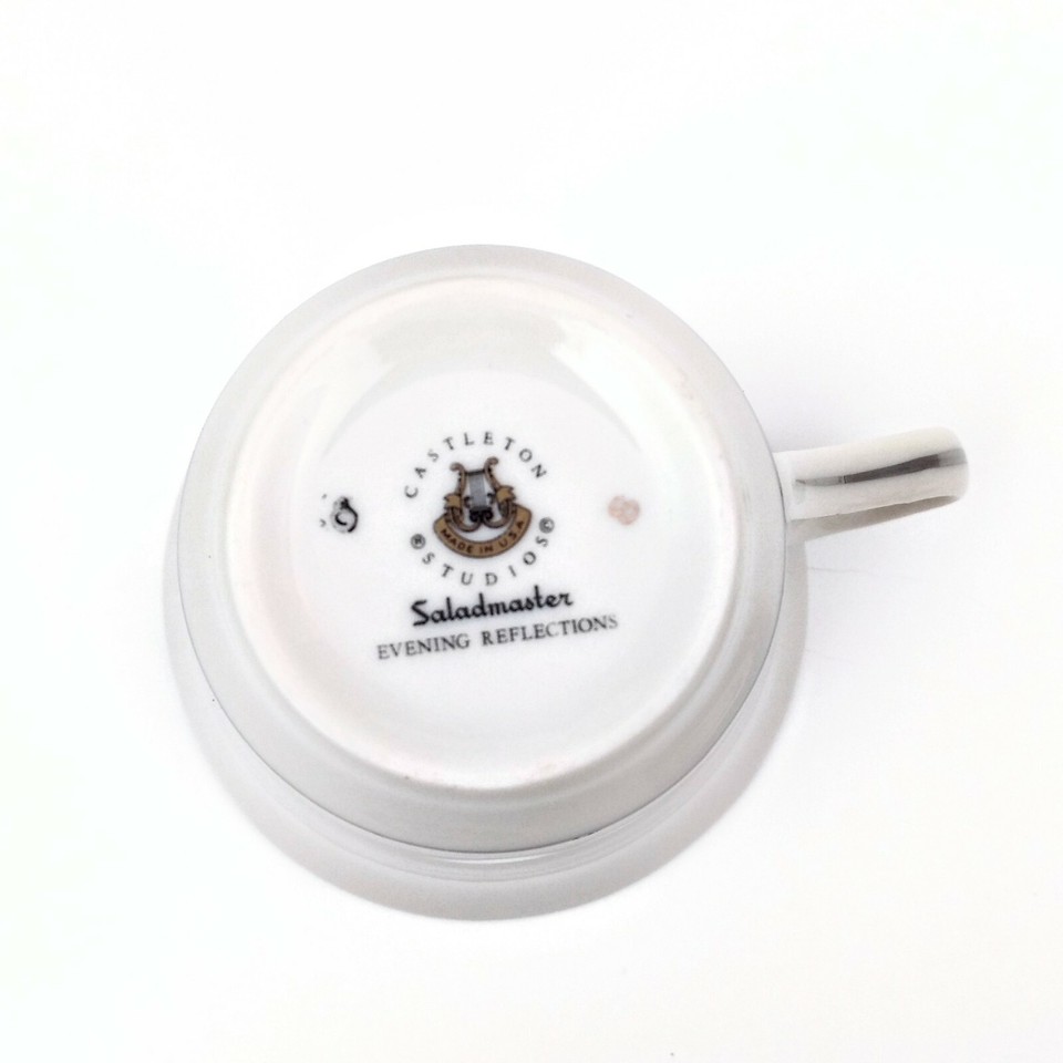Castleton Studios Evening Reflections Platinum Tea Cup & Saucer, Gary ...