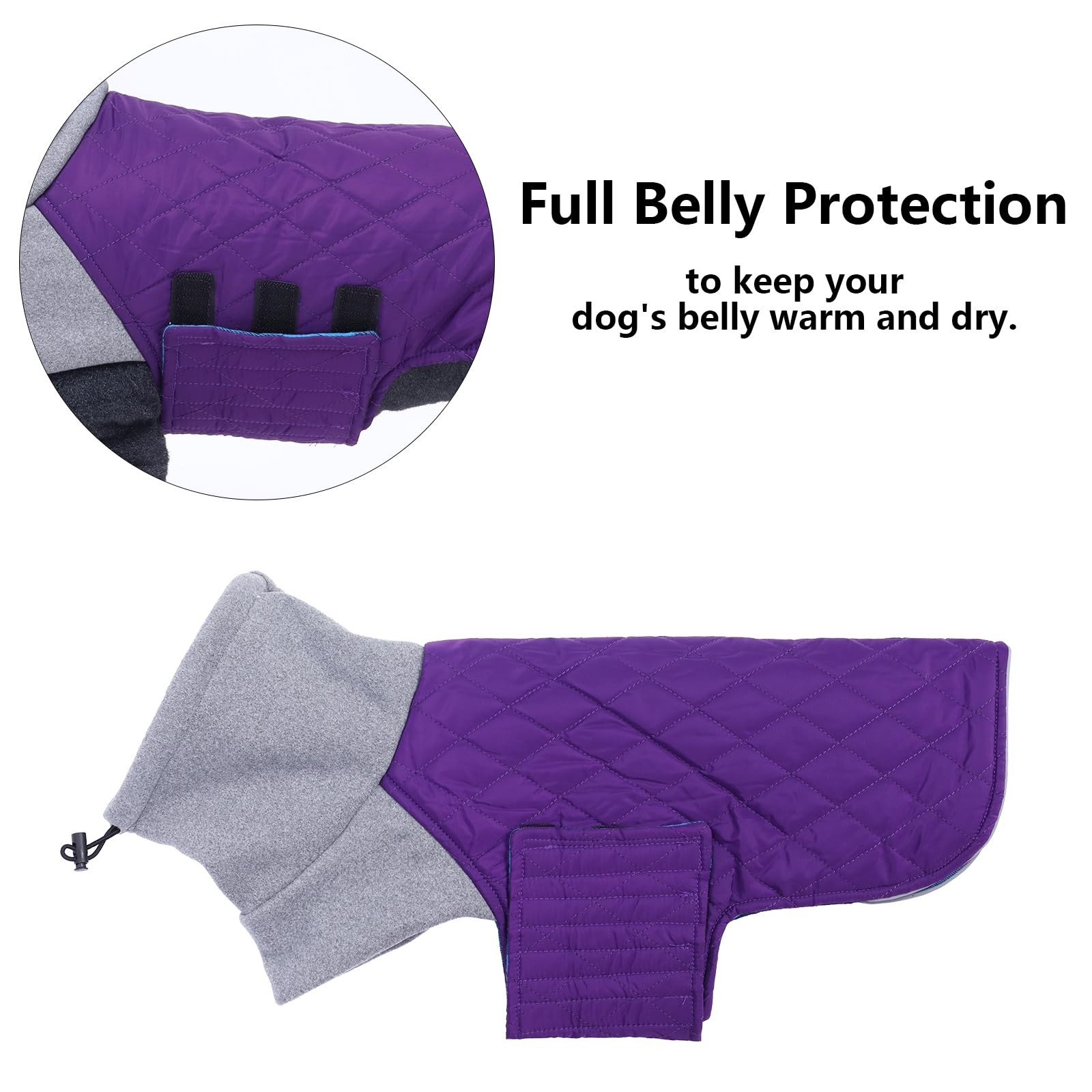 Pull pour Teckel miniature et manteau d'hiver imperméable chaud
