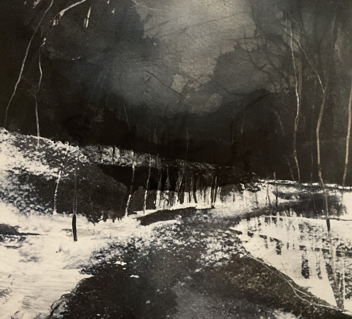 Agalloch / 3rdアルバム Agalloch / 3rdアルバム