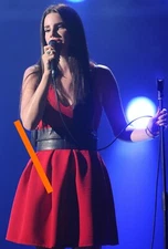 Photo taille au choix LANA DEL REY (1571)