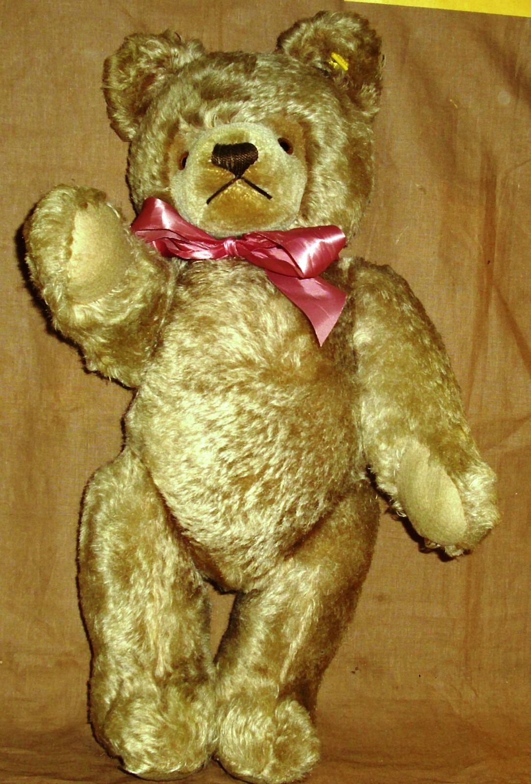 Picture 5 of 6
