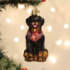 Old World Christmas ROTTWEILER (12696) Glass Ornament w/ OWC Box