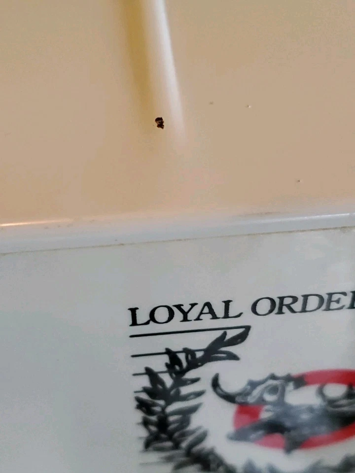 Nylint GMC 18 Wheeler Trailer Semi Truck Moose Express Excellent Condition! - Image 4 of 4