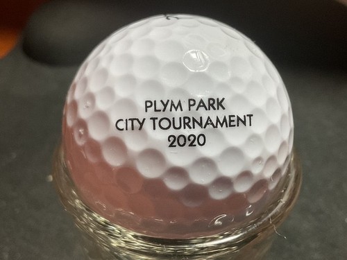 MICHIGAN P Q GOLFPLATZ: LOGOBÄLLE - Bild 51 von 64