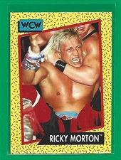 1991 Impel WCW Ricky Morton #102