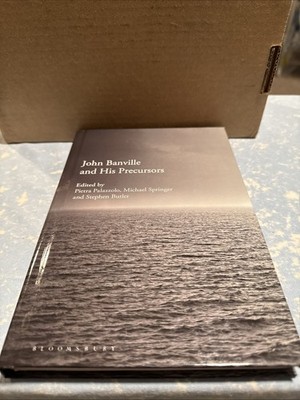 John Banville and His Precursors by Dr Pietra Palazzolo (English) Hardcover Book
