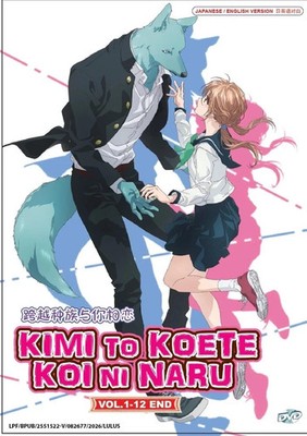 With You, Our Love Will Make It Through TV Series DVD [English Audio] [Anime]