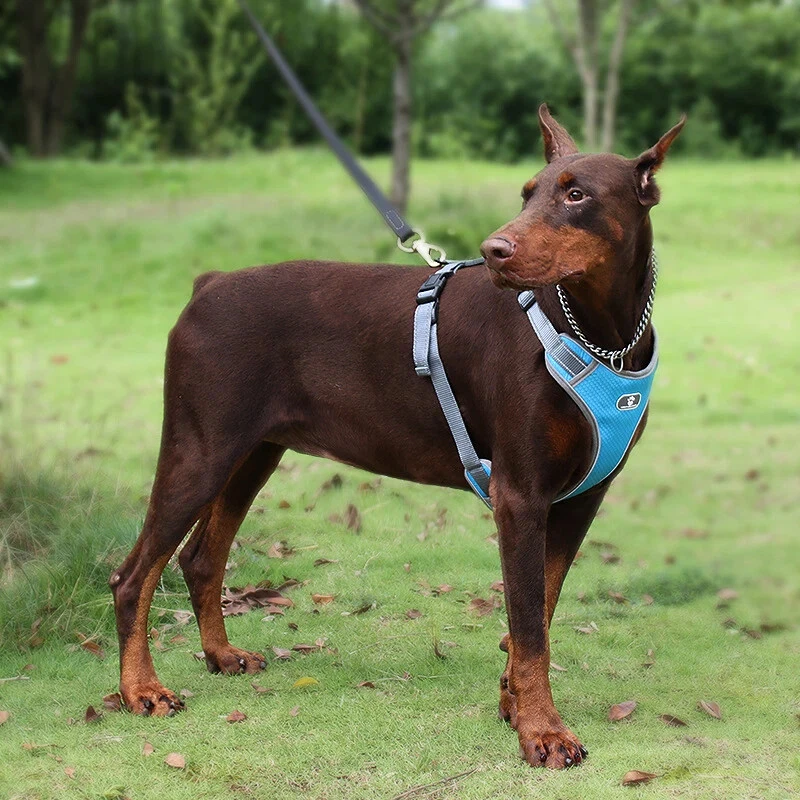 Dog Harness Vest Breathable Dog Training Reflective Nylon Pet Chest Strap New US