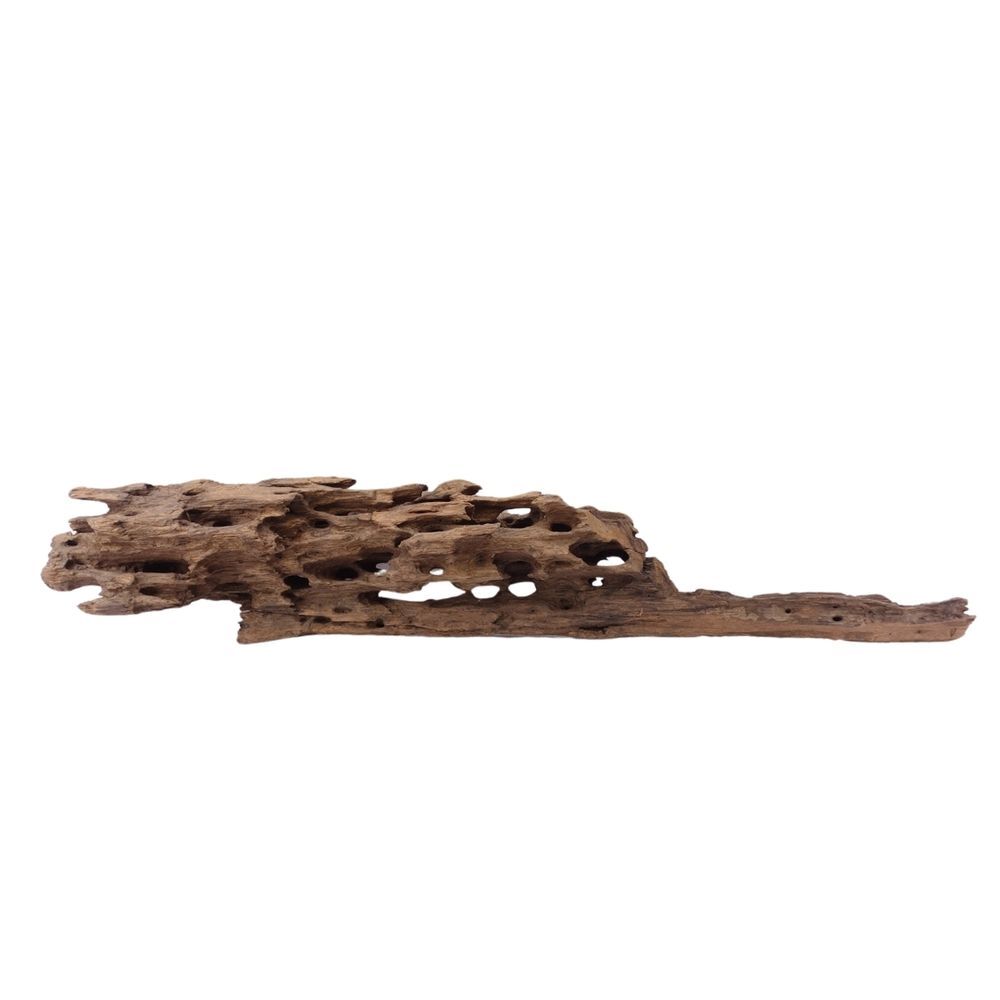 XL Honey Comb Radice Nr.1932 Acquario Mangrovie Decorazione Legno Aquascaping