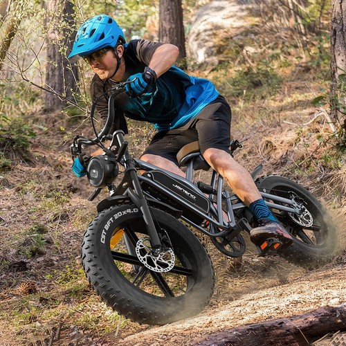 20" Electric Bike 750W 48V 14Ah Motorcycle Mountain bike Fat Tire E-bike Adult - Picture 5 of 15