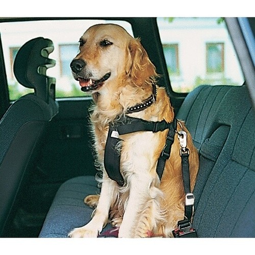 Arnes perros coche sujeccion con cinturon seguridad L pecho 70-90 cm | eBay