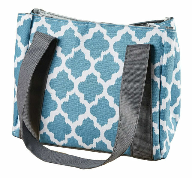 insulated lunch bag with ice pack