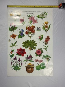 Vintage 1983 Smokey The Bear 20”x30” As Pictured. Flowers “Pick A Reason”