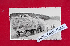 Foto "Soldaten der NVA beim Ernteeinsatz" 1960er J.