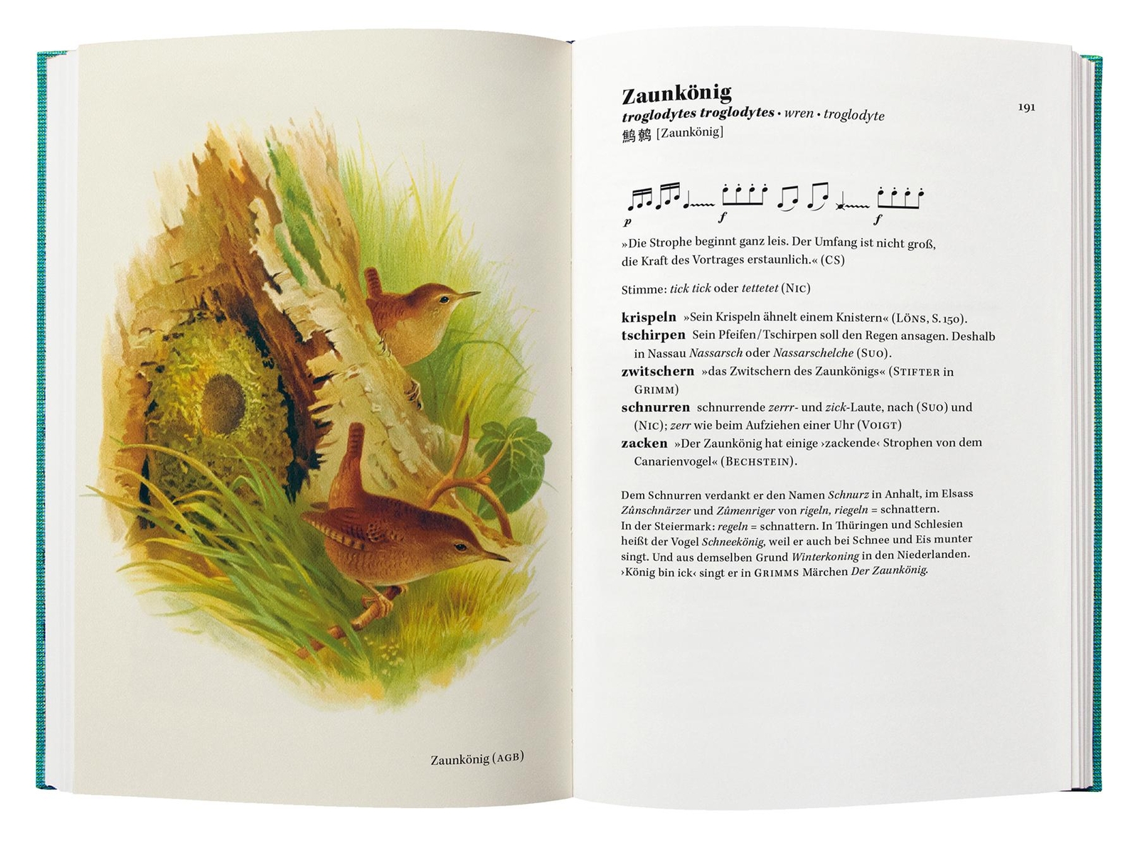 Thumbnail - Singt Der Vogel, Ruft Er Oder Schlägt Er? | Krauss, Peter