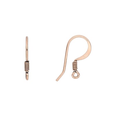 ear fish hook Mini Earring Fish Hook Ear Wires, 20ct.