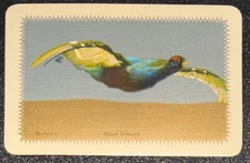 BA146 Swap Playing Cards 1 VINTAGE ENGLISH BARRIBAL ART BLACK GROUSE GAME BIRD