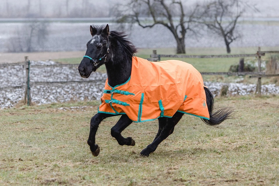 Regendecke 1200 denier übergangsdeke weidendecke Rainsheet indira pro