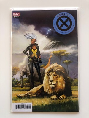 HOUSE OF X (2019) #2 (VARIANT) - STORM